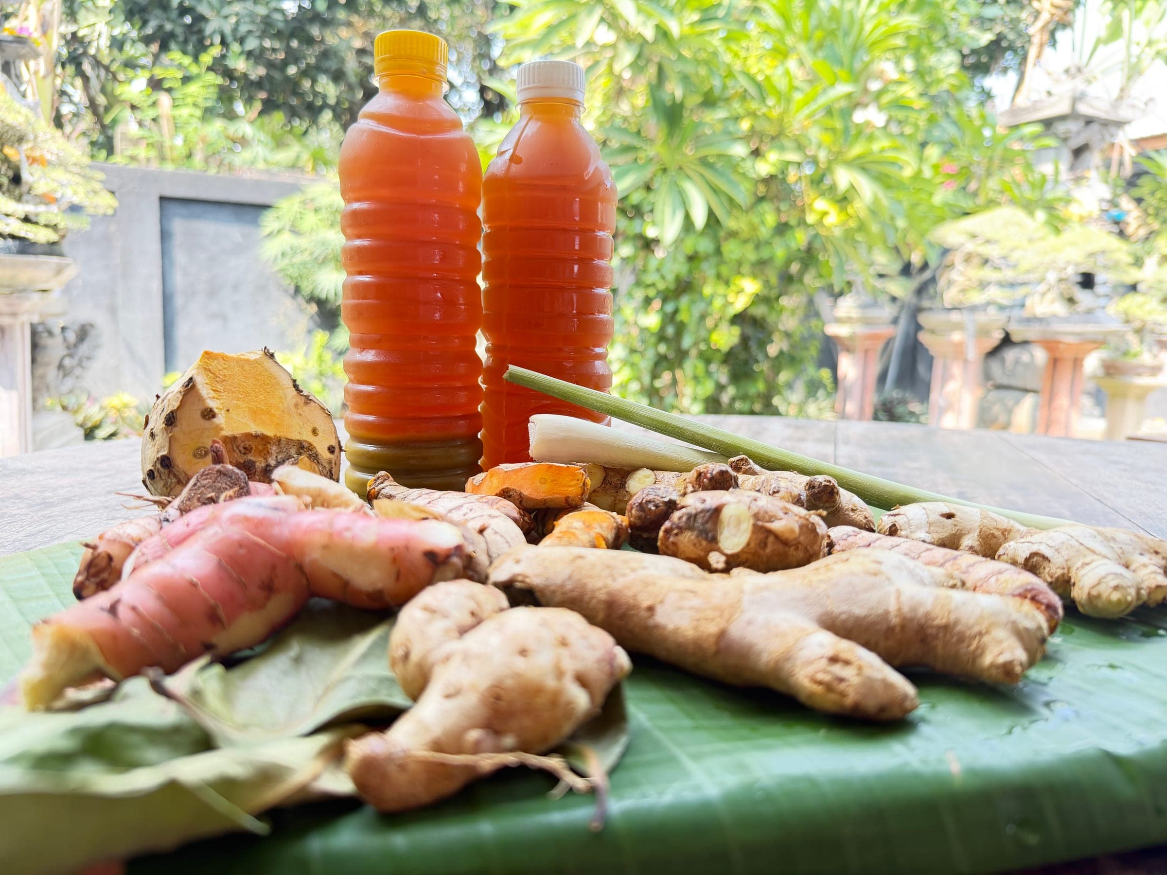 JRO's two herbal preparations, a yellow cap and a white cap, beside the fresh ginger, turmeric and galangal they are made from.